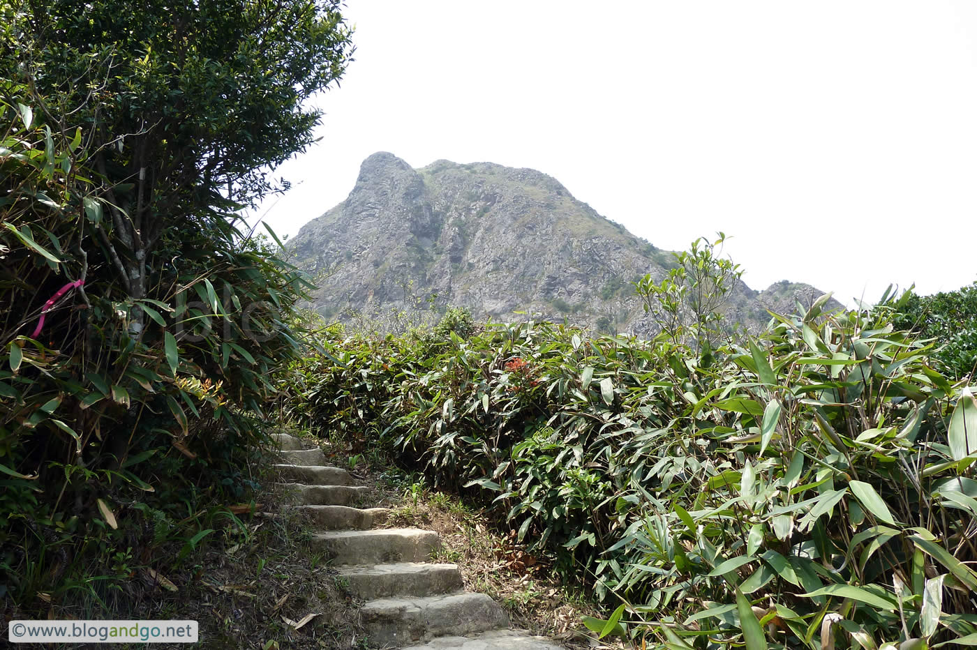 Maclehose Trail 4 - Just past M77 and on go the steps